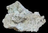 Blue-Green, Botryoidal Aragonite Formation - China #63910-2